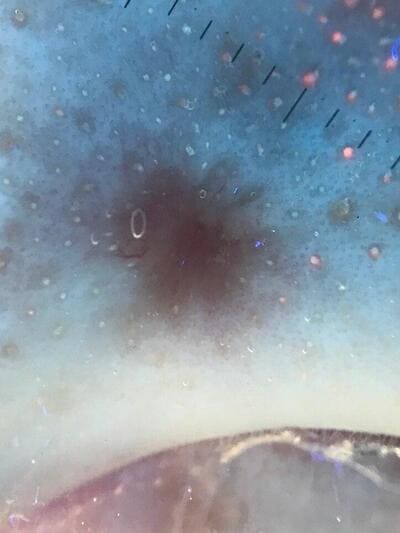 �������������: ���� � ����� ����������?