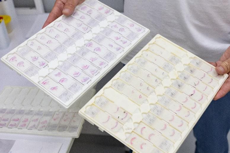 ������������� � ��������� ������������������ ���� ����