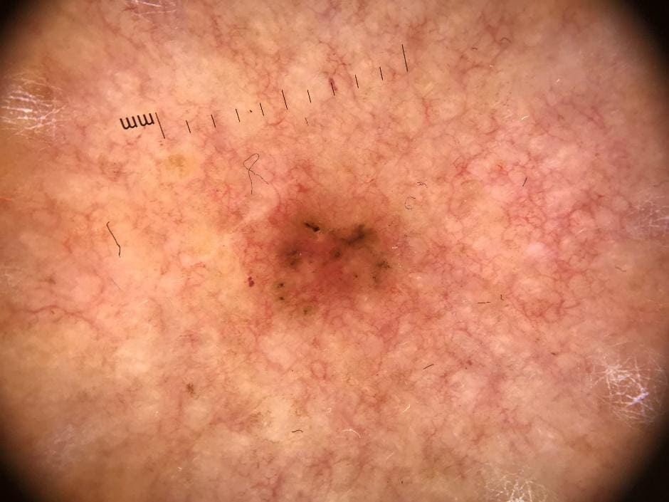 ������� ������ ������ � ������� ����