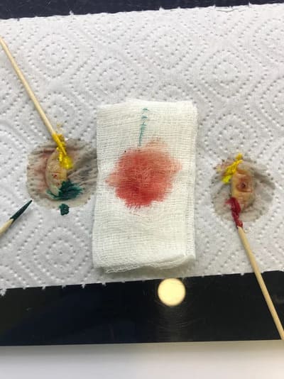 ���������������� ���������������