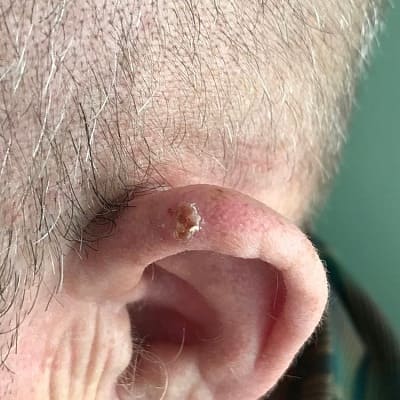 ��������������� ������� ������������������ ����