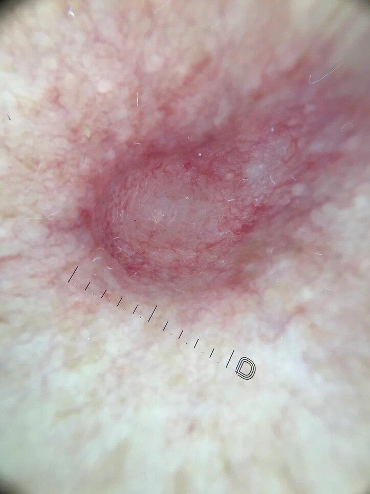 �������� � ������������ ���� ����