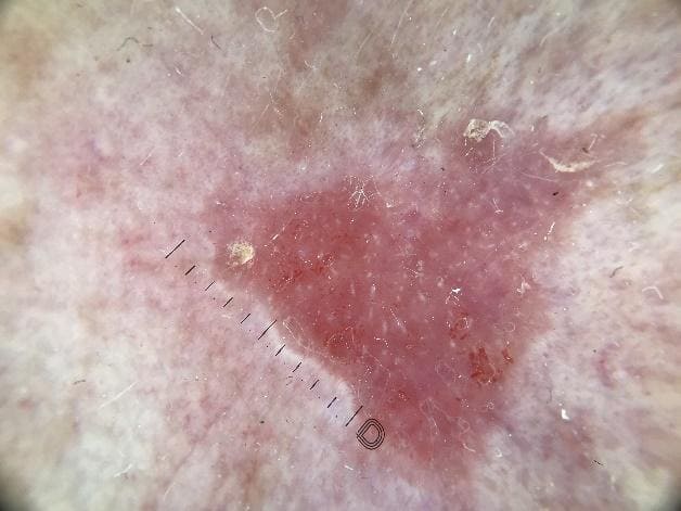 ����������������� ����� � ��� ����