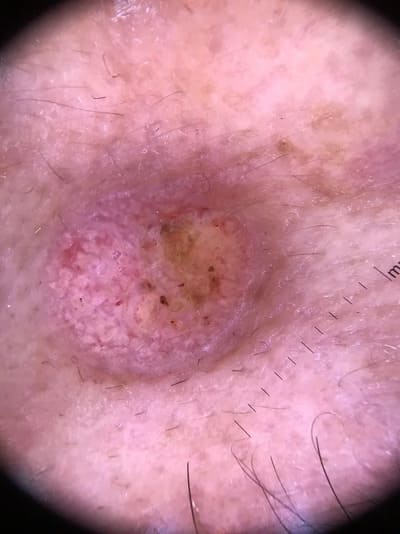 ����������������� � ��������������� ������� ����